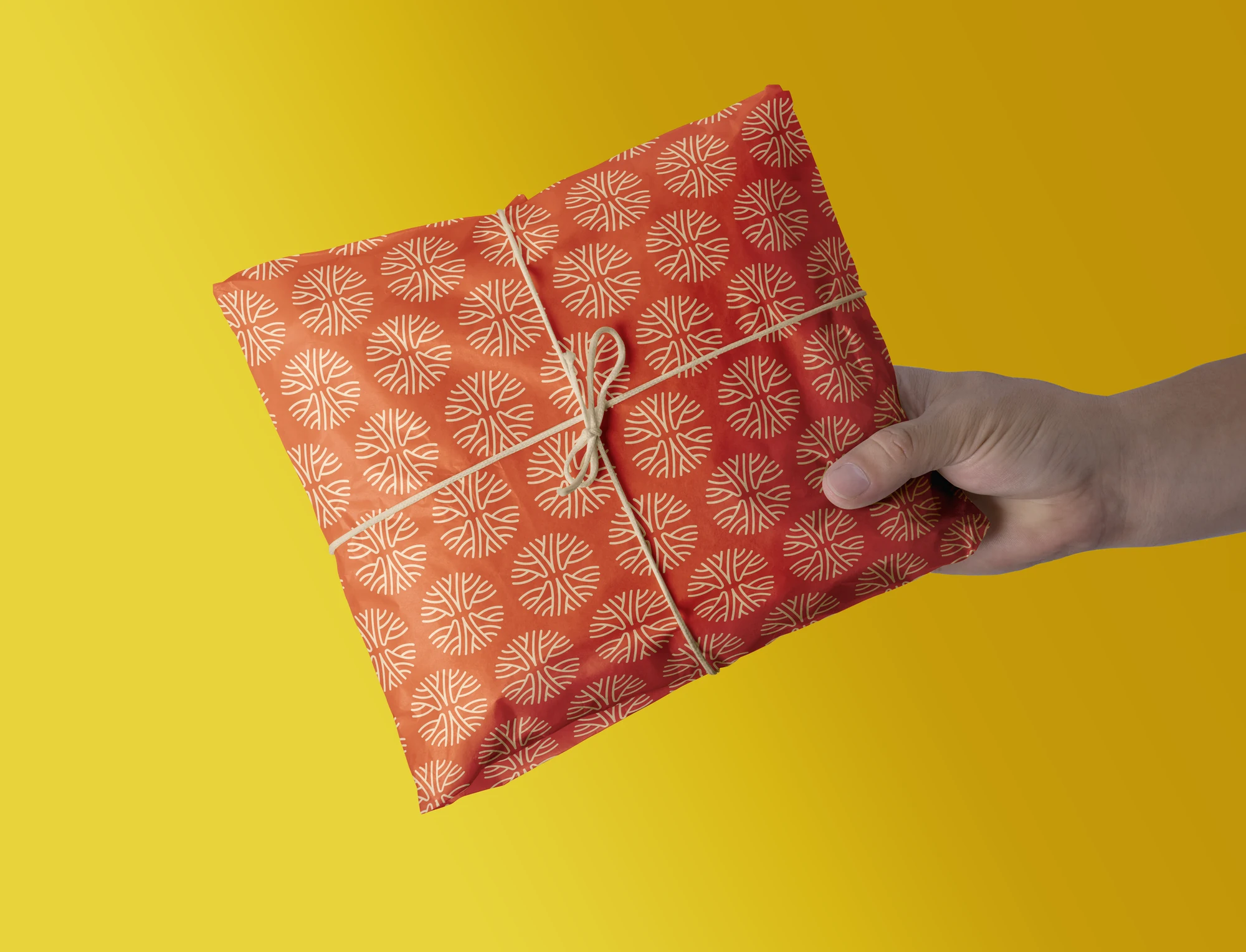 Jadein patterned gift wrap held in hand