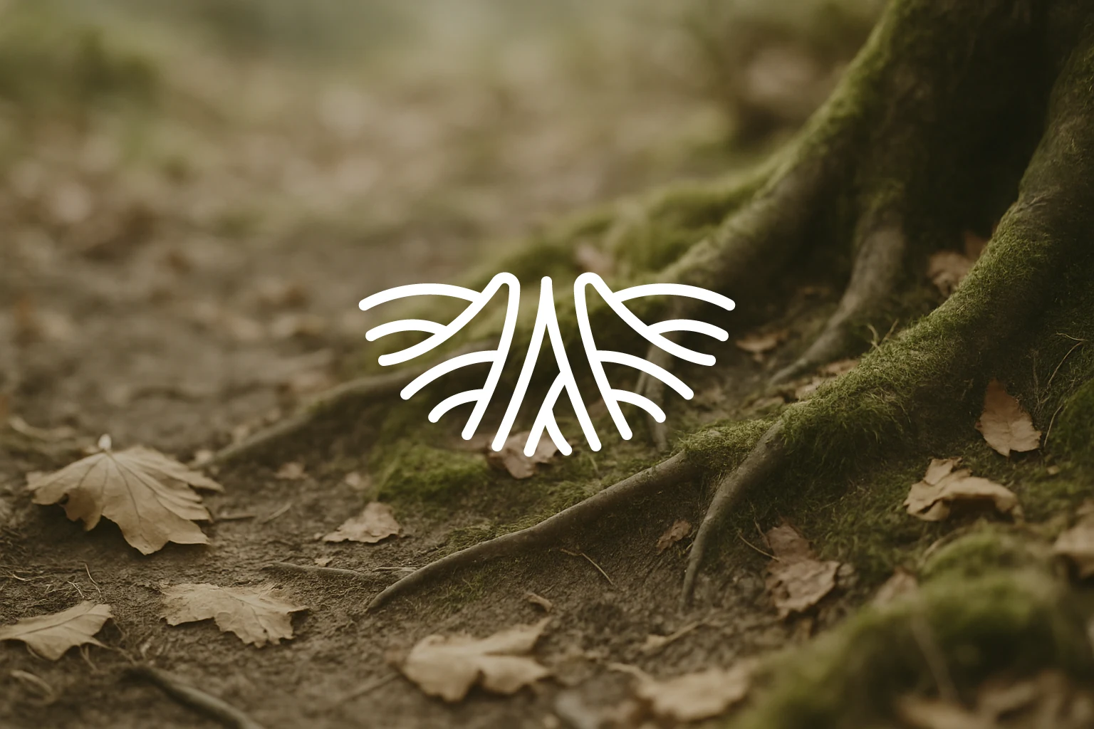 Jadein roots logo mark over forest floor