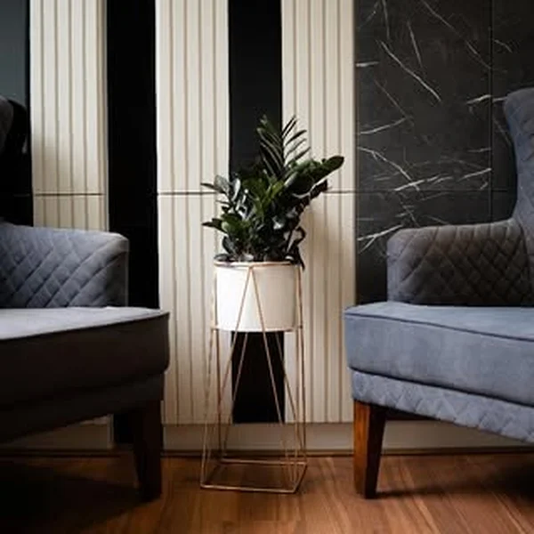 Lounge chairs and plants in the studio